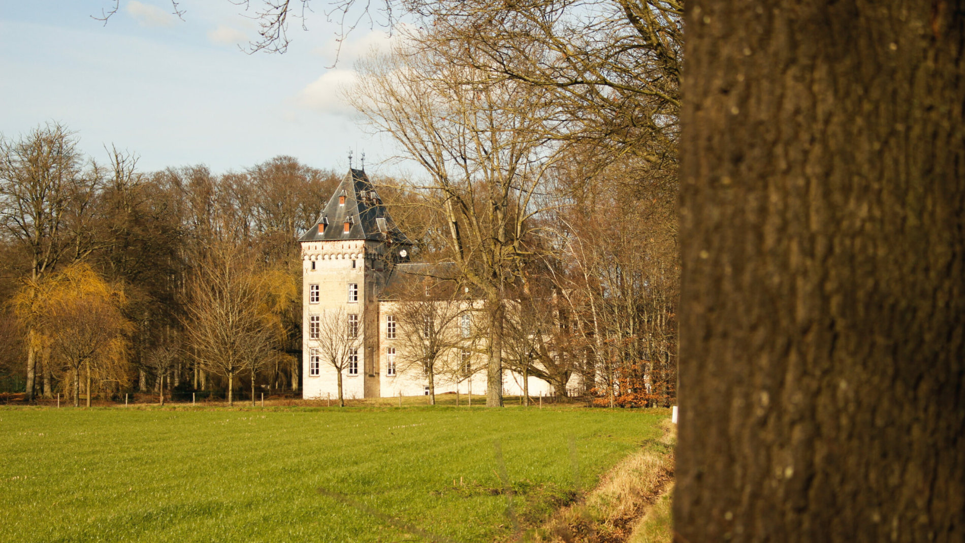 B&B De Kasteelhoeve - Omgeving -2711