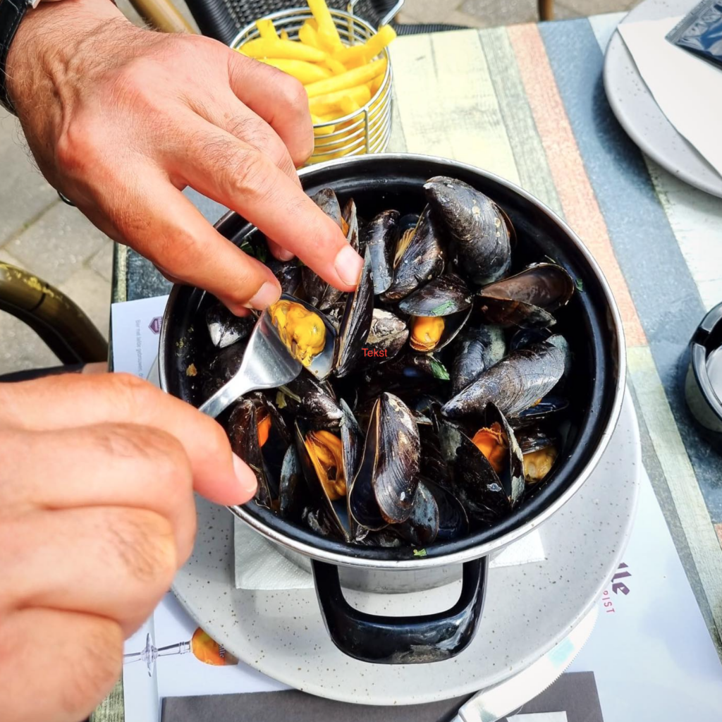 Goudmerk mosselen met frietjes bij De Kasteelhoeve in Westmalle