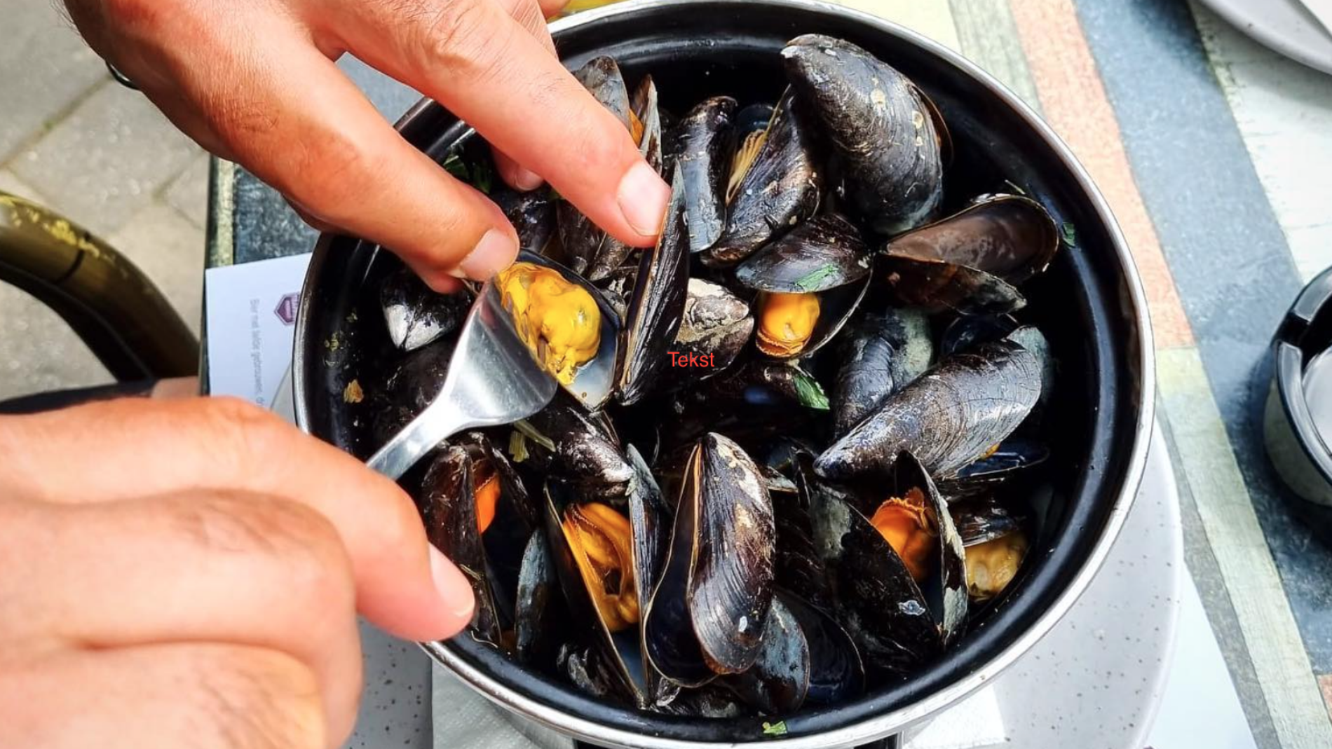 Goudmerk mosselen met frietjes bij De Kasteelhoeve in Westmalle