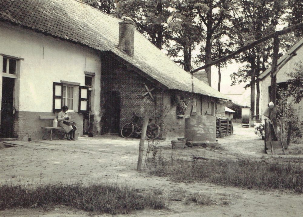 p. 111 bovenaan